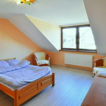 Apartment Duzy Apartament *