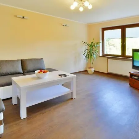 Apartment Duzy Apartament *